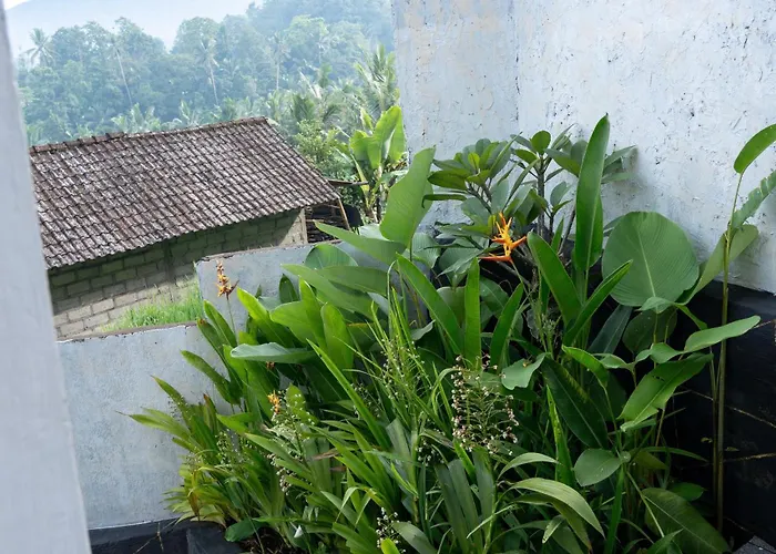 Gasthuis Bisbis House Iseh Village 3*